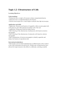 Topic 1.2- Ultrastructure of Cells