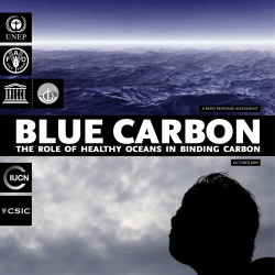 the role of healthy oceans in binding carbon