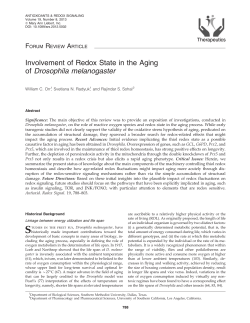 Involvement of Redox State in the Aging of Drosophila melanogaster