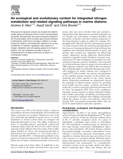 An ecological and evolutionary context for integrated nitrogen