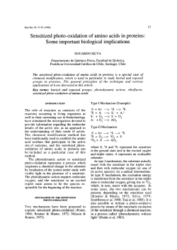 Sensitized photo-oxidation of amino acids in proteins: Some