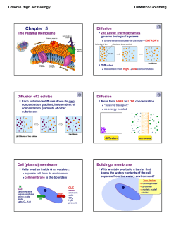 Lecture 014--Cell Transport