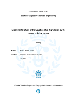 Experimental Study of the Egyptian blue degradation