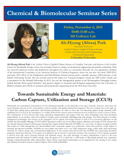 Towards Sustainable Energy and Materials: Carbon Capture