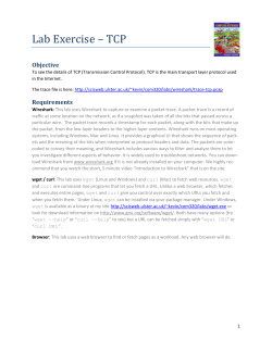 Lab Exercise &ndash; TCP