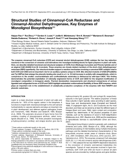 Structural Studies of Cinnamoyl-CoA Reductase and