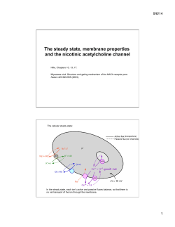 Steady State, Membrane Properties, and the Nicotinic Channel