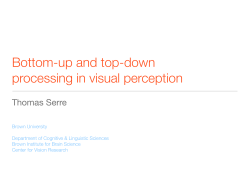 Bottom-up and top-down processing in visual perception