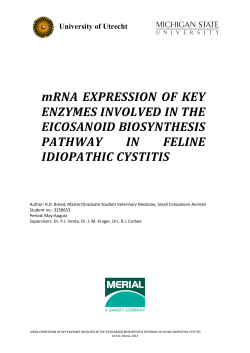 mRNA EXPRESSION OF KEY ENZYMES INVOLVED IN THE