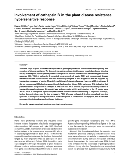 Involvement of cathepsin B in the plant disease