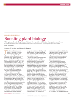 Bioinspired materials: Boosting plant biology