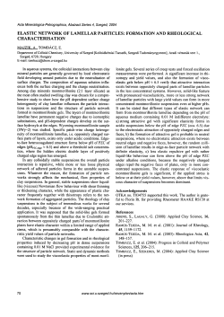 elastic network of lamellar particles: formation and rheological