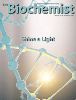 Shine a Light - Biochemical Society