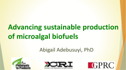 Advancing sustainable production of microalgal biofuels