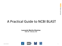 NCBI Blast services