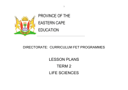 Grade 10 - Curriculum