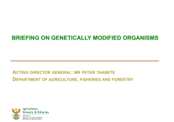 Briefing on Genetically Modified Organisms