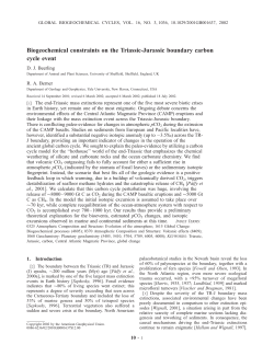 Biogeochemical constraints on the Triassic