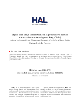 Lipids and clays interactions in a productive marine - HAL-Insu
