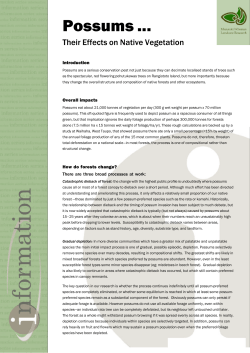 Possums ...their effects on native vegetation info sheet