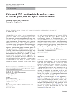 Chloroplast DNA insertions into the nuclear genome of rice: the