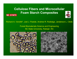 Cellulose Fibers and Microcellular Foam Starch Composites