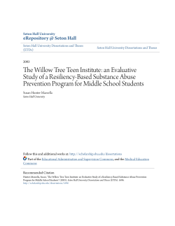 The Willow Tree Teen Institute