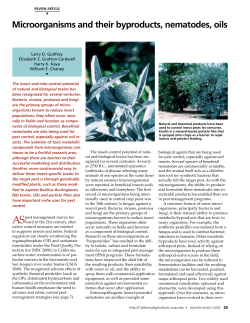 Microorganisms and their byproducts, nematodes, oils and particle