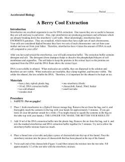 Acc_Bio_Strawberry_DNA_Extraction_Lab