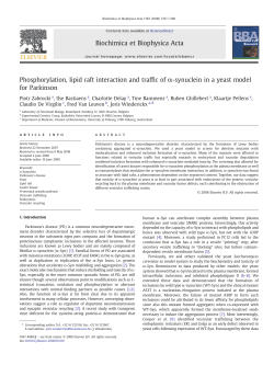 Phosphorylation, lipid raft interaction and traffic of &alpha;