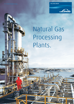 Natural Gas Processing Plants.