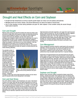 Drought and Heat Effects on Corn and Soybean