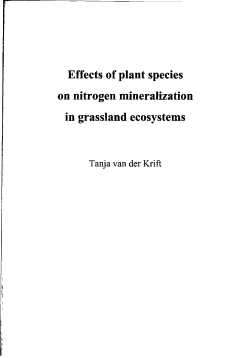 Effects of plant species on nitrogen mineralization in grassland