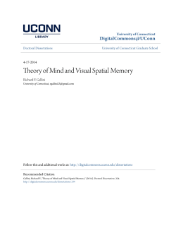 Theory of Mind and Visual Spatial Memory