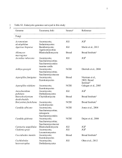 Table S3. Eukaryotic genomes surveyed in this study Genome
