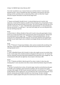 Critique for NMCBC Open show February 2017 First of all I would