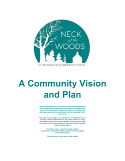 A Community Vision and Plan - St Werburghs Community Centre