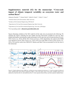 Supplementary material (S2) for the manuscript: &ldquo;Cross-scale