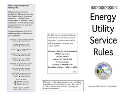 Energy Service Rules Brochure