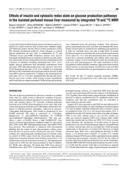 Effects of insulin and cytosolic redox state on glucose production