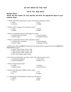 1 - My CCSD
