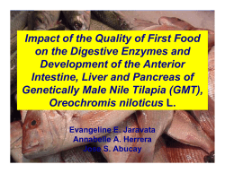 Impact of the Quality of First Food on the Digestive Enzymes and