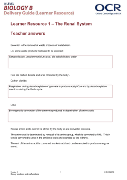 OCR A Level Biology B Learner Resource Renal System