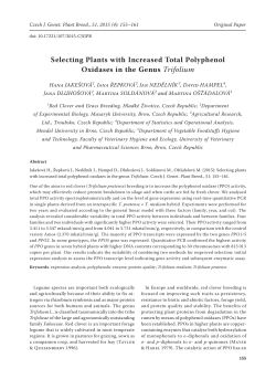 Selecting Plants with Increased Total Polyphenol Oxidases in the
