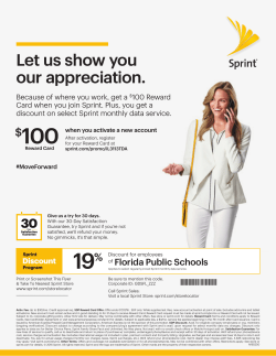 $100 19 - Sprint