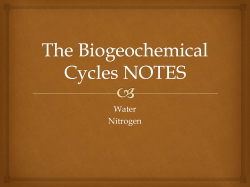 The Biogeochemical Cycles NOTES