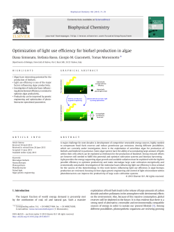 Optimization of light use efficiency for biofuel production in algae