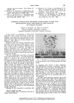 has formulated an hypothesis that The effect which light