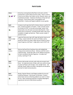 Herb Guide - Sunshine Community Gardens