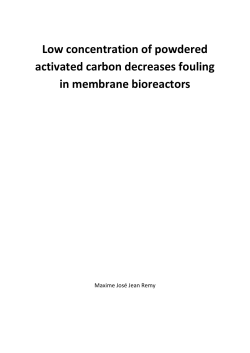 Low concentration of powdered activated carbon decreases fouling